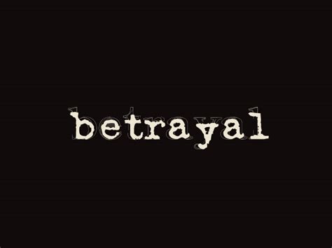 blog  bee betrayal  healing