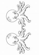 Oktopus Tintenfisch Octopuses Polvo Bonito Ausmalbild Colorironline sketch template