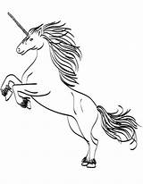 Unicorn Coloring Pages Head Rearing Color Print Printable Drawing Scribblefun Magical Getcolorings Getdrawings Walleye Colorings Colorin sketch template