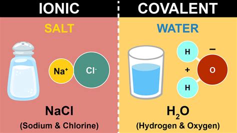 main differences  ionic  covalent bonds yourdictionary