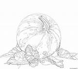 Pumpkin Leaves Coloring Fall Printable Pages Halloween Leaf Template Needs Supercoloring Print sketch template