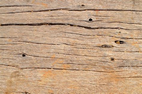 wood textures  photo  freeimages