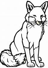 Fox Coloring Animal Pages Print Choose Board sketch template