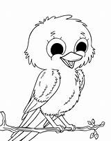 Bird Coloring Cute Pages Kids Drawing Birds Baby Owl Robin Colouring Cartoon Little Canary Color Printable Easy Clipart American Big sketch template