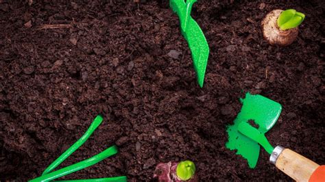 soil  growing plants gardening tips  tricks