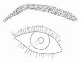 Eye Realistic Outline Coloring Pages Sketch Template Deviantart sketch template