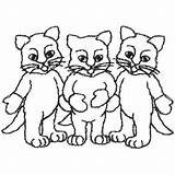 Kitten Realistic Getdrawings sketch template