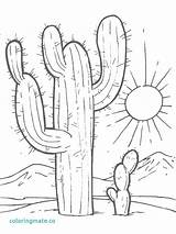 Cactus Prickly Pear Drawing Realistic Coloring Pages Pencil Drawn Pot Getdrawings Tumblr Christmas sketch template