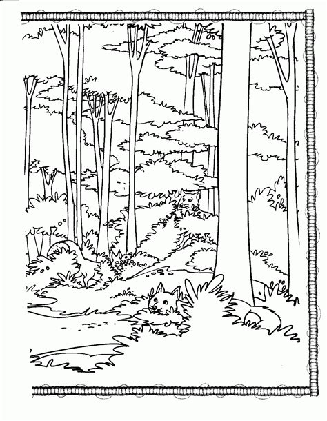 forest animal coloring page printable coloring home