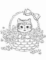 Coloring Kitten Cute Basket Pages Shamrock Printable Drawing Supercoloring Patrick Categories St sketch template