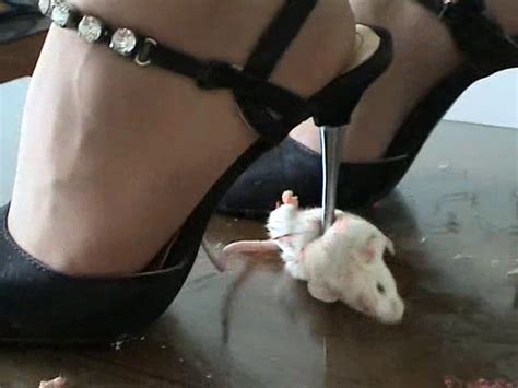 crush fetish mice nude pic