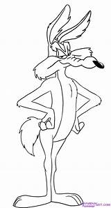 Coyote Looney Tunes Wile Runner Colorearya Guarda sketch template