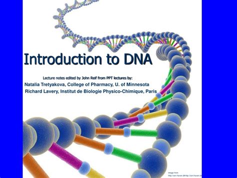 Ppt Introduction To Dna Lecture Notes Edited By John