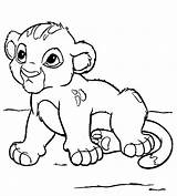 Baby Simba Coloring Drawing Lion Pages Printable King Color Kids Disney Cartoon Characters Colouring Animals Print Cute Sheets Animal Nala sketch template