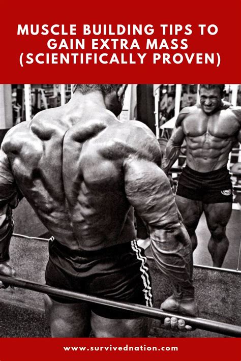 muscle building tips to gain extra mass scientifically proven build