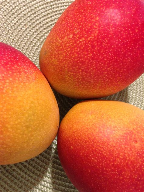 photo  ripe mangoes  stock photo