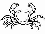 Crabe Crab Cangrejo Coloriages Cangrejos Colorier Oceano Ko Choisir Tableau Albumdecoloriages sketch template