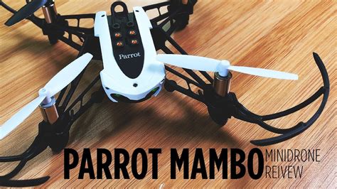 parrot mambo mission minidrone review youtube