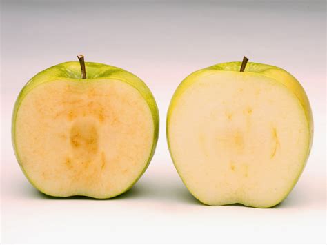 put  genetically modified arctic apple   pie wired