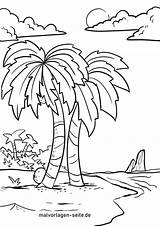 Palmen Palme Malvorlage Pflanzen Ausmalbild Kostenlose Kinderbilder Ausmalen Mit Bildes Setzt Anklicken öffnet sketch template