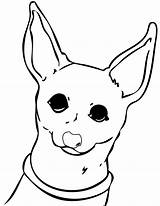 Chihuahua Coloring Pages Dog Lab Drawing Chiwawa Color Line Chihuahuas Printable Print Kids Dogs Puppy Clipart Cute Getdrawings Curious Library sketch template