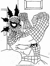 Ragno Spiderman Cartoni sketch template