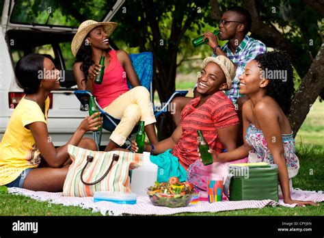 young black adults   picnic   park stock photo alamy