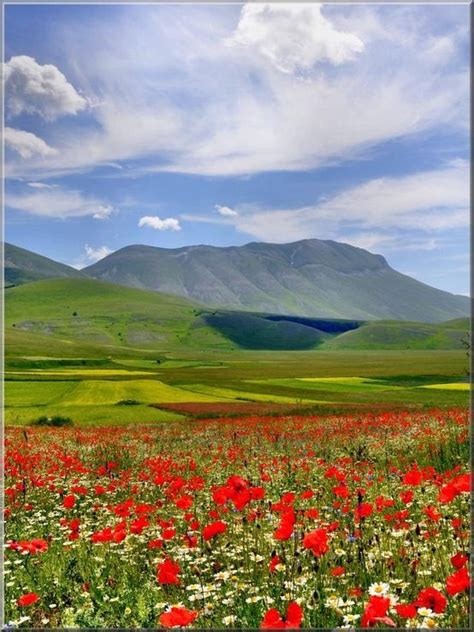 41 best images about umbria on pinterest italia poppy fields and umbria italy