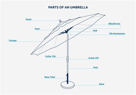 pick  perfect umbrella  home