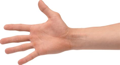 hands png hand image