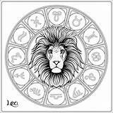 Zodiac Sign Horoscope Lion Illustration Vector Astrological Leo Coloring Drawn Hand Collection Signs sketch template