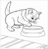 Coloring Kitten Pages Baby Cat Color Javanese Coloringbay Kids Print Online sketch template