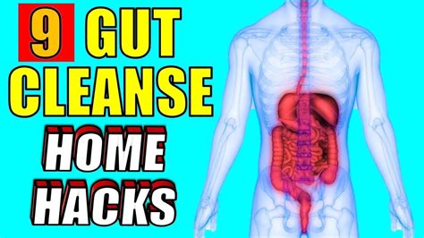 cleanse  gut  home naturally epic natural health