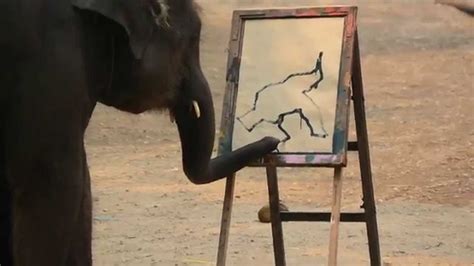 Elephant Painting Chiang Mai Thailand Youtube
