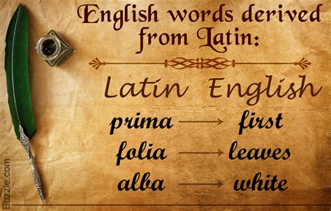 common latin words in english