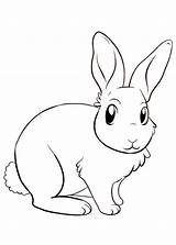 Colorare Coniglio Conigli Coelho Disegno Coniglietto Disegnare Pianetabambini Coniglietti Copiar Coelhinho sketch template
