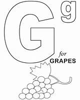 Grapes Uppercase sketch template