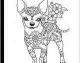Mandalas Chihuahua Perros Zentangle Teacup sketch template
