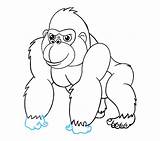 Gorilla Drawing Draw Cartoon Outline Clipart Easy Lizard Step Poop Line Collection Ape Drawings High Paintingvalley Webstockreview sketch template