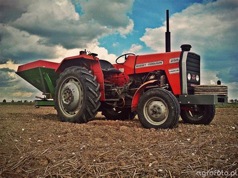 obraz traktor massey ferguson  rozsiewacz id galeria rolnicza agrofoto