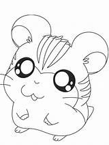 Hamster Coloring Pages Cute Printable Popular Getcolorings sketch template