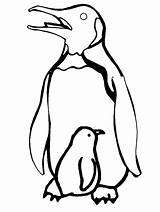 Coloring Penguin Pages Cliparts Cartoon sketch template