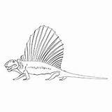 Coloring Dinosaur Pages Dimetrodon Printable Toddler Unique Museum Natural History Kids Ankylosaurus Will sketch template
