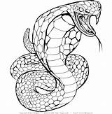 Snake Coloring Pages Cobra Drawing Snakes Anaconda Print Evil King Sea Printable Sushi Adult Color Children Adults Getdrawings Mosaic Getcolorings sketch template