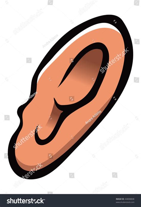 cartoon vector illustration human ear  shutterstock