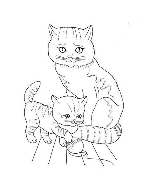 pet cat  kitten coloring page coloring sky