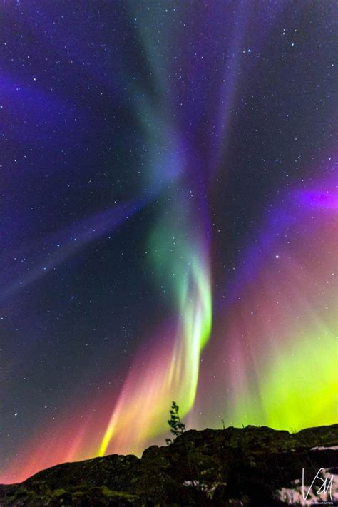 cheap fun family vacation aurora borealis forecast mn   favorite site northern lights