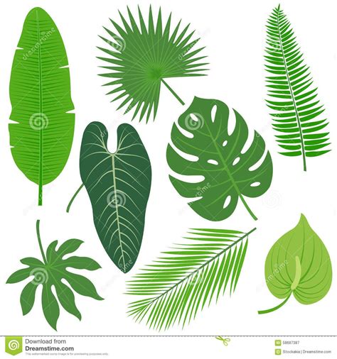 imagen relacionada diy leaves paper leaves plant leaves tropical