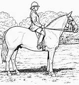 Colorir Cavallo Imprimir Cavalos Stall Effortfulg Cavalo Breyer Cavaliere sketch template