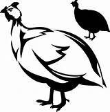 Fowl Pintade Guineafowl Cliparts Meleagris Numida Bird Animés Icônes Clipground sketch template